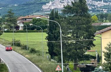 Molly’s Home - Photo 4