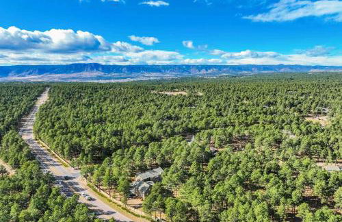 Luxury Retreat with Hot Tub Fire Pit & Forest Views - Foto 65