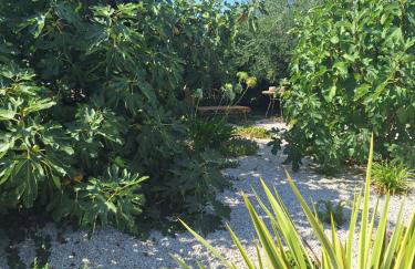 Casa dell ´amore - Foto 44