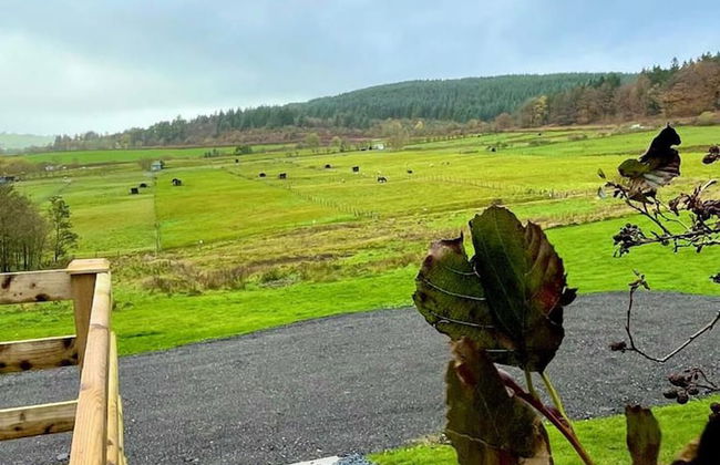 1 Bedroom Log Cabin in Parc Pen y Bryn Sleep 2/3 - Foto 6