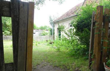 Dom na Mazurach Pilec- Apartament - Foto 19