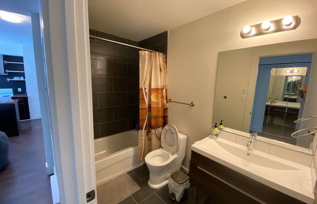 Brand New 1 Br 1 Bath Close To All Walkable - Photo 7