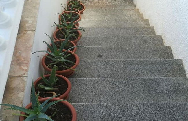 Apartment Marjan - Foto 15