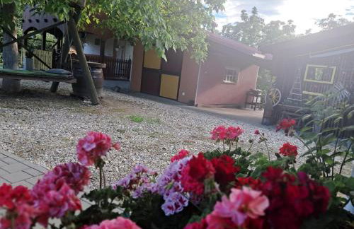 Paun - Photo 28