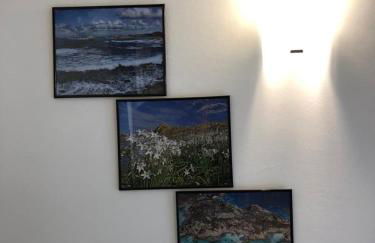 Appartamenti Milù - Milù Holidays - Foto 67