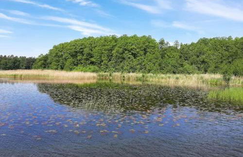 Ferienwohnungen am Mirower See, Mirow - Photo 29