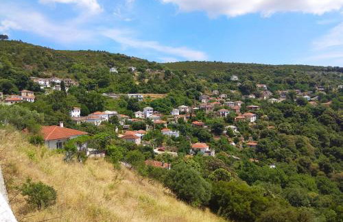 Marina Traditional Stonehouse - Foto 39