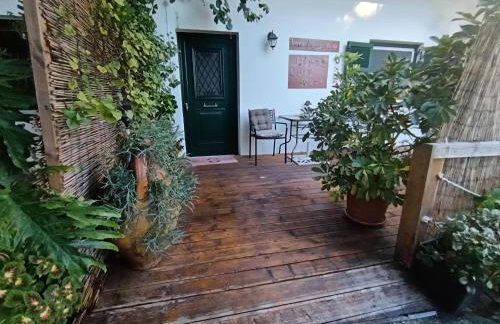Olgas Cozy Nest Corfu retreat garden near Dassia - Foto 20