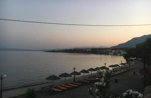 Myrtilo Waterline 2 (Orange) - Foto 17