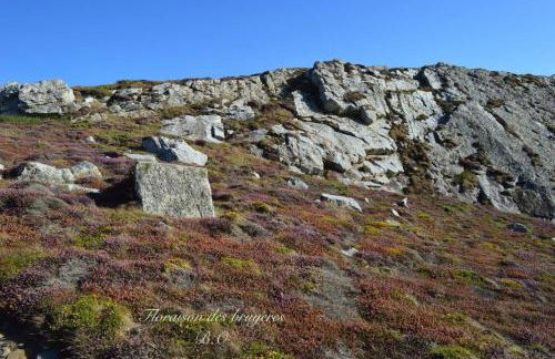 Le Clos des Agapanthes - Foto 38