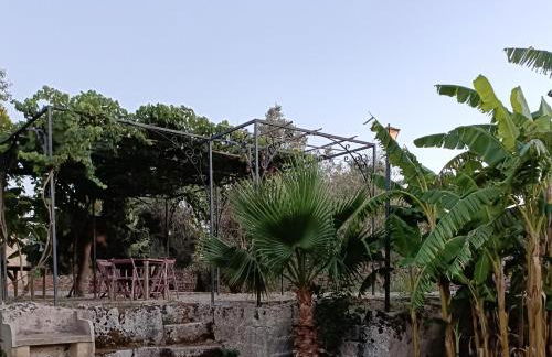 Masseria La Maestà - Ospitalità Rurale Famigliare - Foto 31