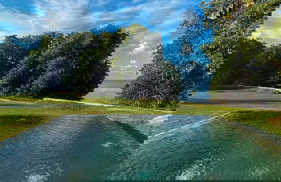 Solar Crab - Photo 11