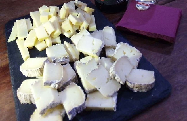 Cata de quesos en Medina del Campo - Foto 5