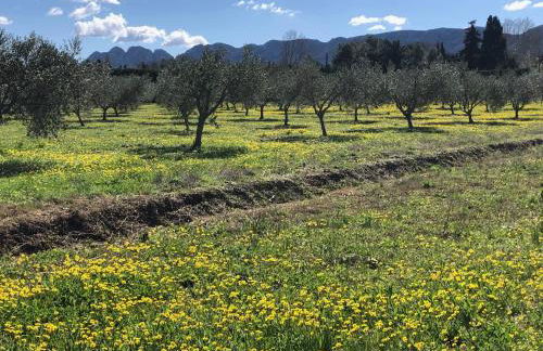 L'Oustalet des Alpilles - Foto 19