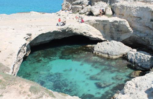 Vecchio Ulivo - Foto 40