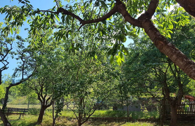 Holiday Home With Natural Garden - Foto 18