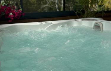 Balisier Maison Jacuzzi luxe privatif à 15min de Disneyland Paris - Foto 3