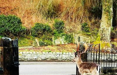 The Old School House, luxury home with hot tub. - Foto 27