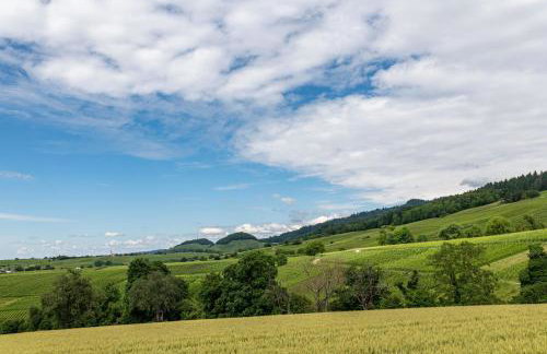Ferienwohnung in den Bachteln - Photo 17
