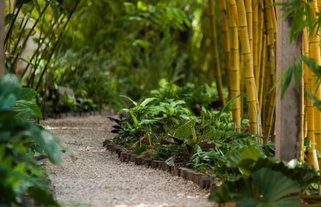 Jacana Amazon Wellness Resort - Photo 59