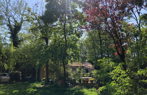 Casale del monte, Pesaro - Foto 37