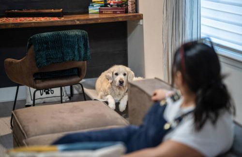 ShenandoahEscape~HotTub~OutdoorCinema~DogFriendly - Foto 49