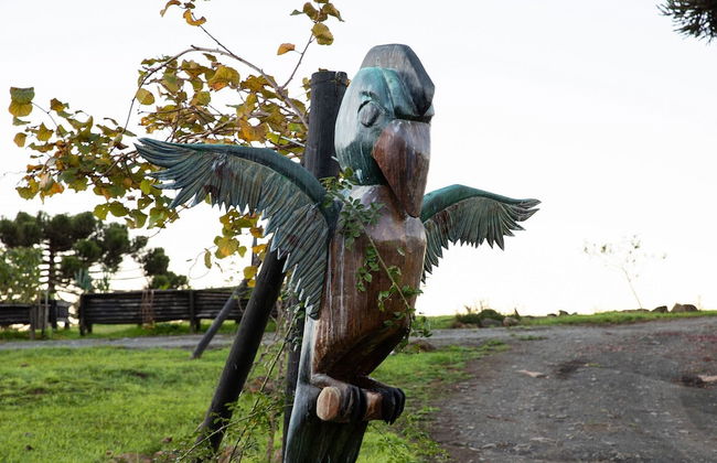 Sítio Mar de Nuvens Chalés de Luxo - Photo 33