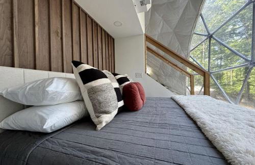 Luxury Private Dome with Spa and Fire Pit in Benzonia, Michigan - Foto 8