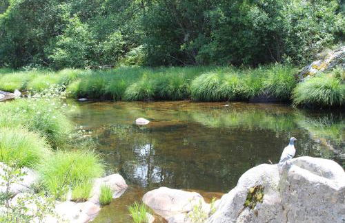 Loboratorio Rural-Cuenta hasta 3 - Foto 42