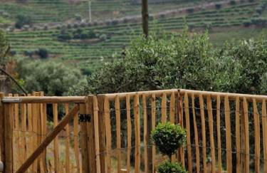 maison du olival - Foto 20