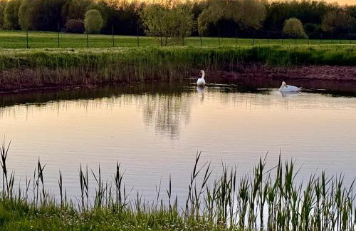 Casa Barbara - Photo 20