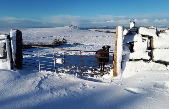 Dartmoor Barn on North Hessary Tor - Foto 18