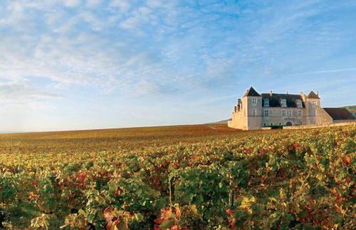 Gite Bons Amis - Foto 50