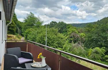 Große Ferienwohnung am Waldrand - Foto 1