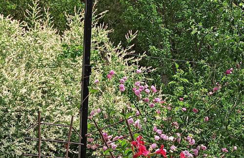 Plitvice Lakes Holiday Lodge - Foto 44