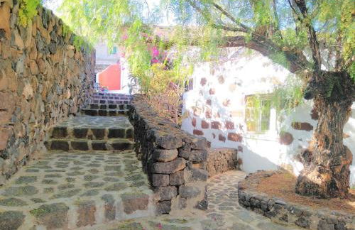 Centro Ave Fénix - Photo 17