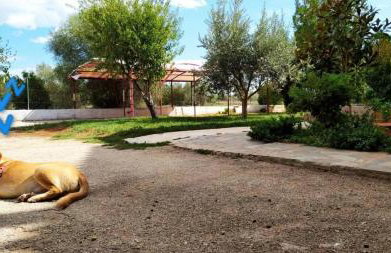 Ktima Anastasia - Foto 14