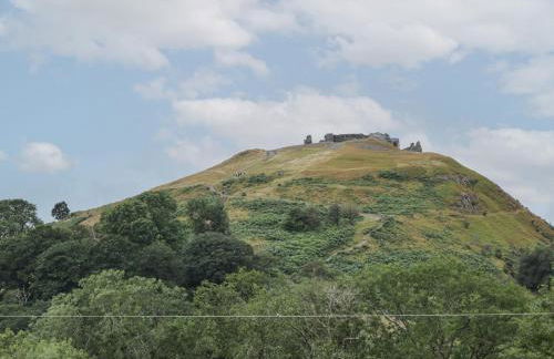 Tan Y Castell Shepherds Hut - Photo 17