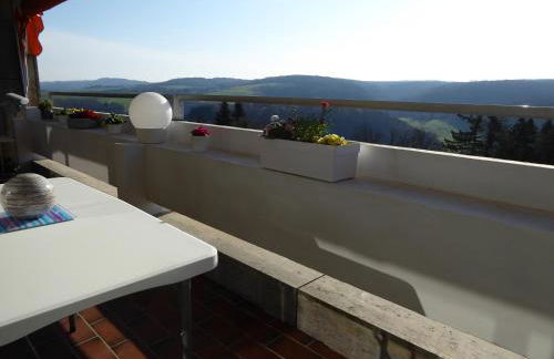 Ferienwohnung Stefi, magischer Ausblick, Schwimmbad-Sauna in Lahnstein - Foto 12