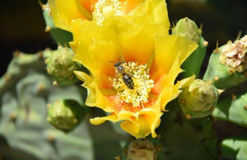 Holiday Menfi | Casale Abate - Foto 43