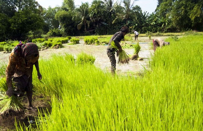 Floating Village Tour - Foto 3
