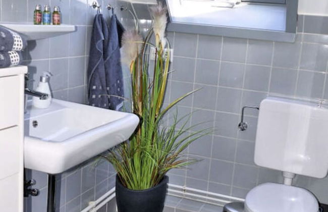 Holiday Apartment Green House - Foto 7