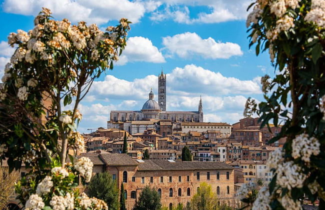 Your Relaxing Tuscan Getaway - Foto 36