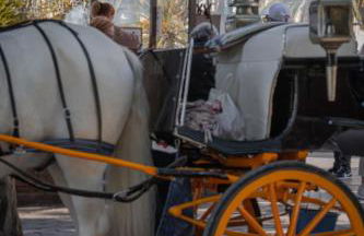 Picasso Premium Apartment - Photo 80