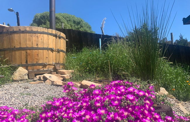 Cabañas La Ola Puertecillo - Foto 14