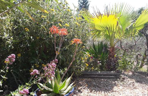 la petite maison - Foto 2