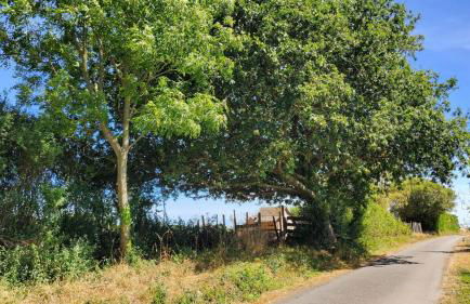 Portec la mer et le sentier côtier à pied - Foto 54