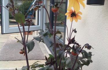 East Hillerton House - Foto 56