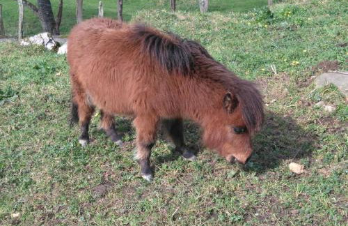 Arriola Txiki - Photo 67