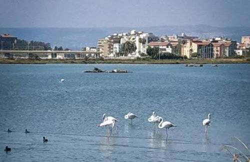 U Putticatu - Foto 7